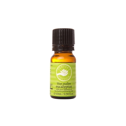 Perfect Potion 100% Pure Eucalyptus Oil 10ml