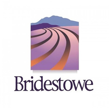 Picture for category Bridestowe